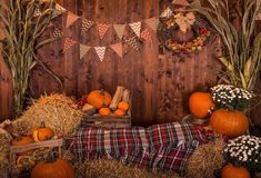 Katebackdrop鎷㈡綖Kate Fall Pumpkin Straw Wood Daisy for Pictures Wooden Wall, Pumpkins, Straw, Thanksgiving, Halloween, Wood, Wall, Photography