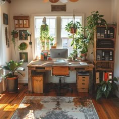 a home office with lots of plants in the window sill, and a rug on the floor