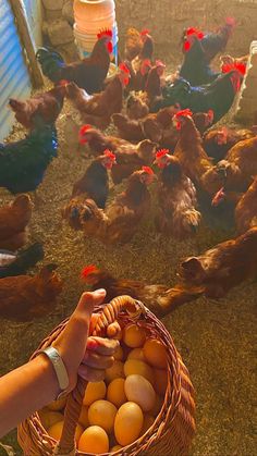 Garden Plants Ideas, Plants Ideas, Dream Life House, Casa Vintage, Chickens And Roosters, Ranch Life, Farms Living