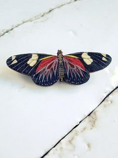 a blue and red butterfly sitting on top of a white counter