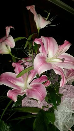 pink flowers are in a vase with green leaves on the bottom and white mesh around it