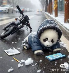 a stuffed panda bear laying on the ground next to a cell phone and bike in the snow