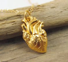 Gold Anatomical Heart Necklace Heart Organ Necklace Anatomically Correct Heart 24K Gold Plated Sterl Heart Organ Necklace, Anubis Altar, Decorator Crab, Anatomical Heart Jewelry, Anatomically Correct Heart, Heart Organ, Anatomical Heart Necklace, Arteries And Veins, Medical Jewelry