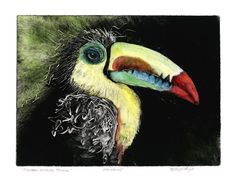 a drawing of a toucan bird with a colorful beak