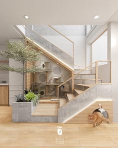 a cat is walking up the stairs in a house with wood floors and white walls