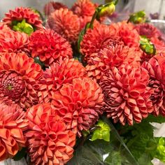 a bunch of red flowers sitting in a vase