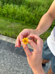 a person holding a small yellow flower in their left hand while sitting on the ground