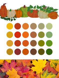 an array of autumn leaves and pumpkins on white background with color swatches in the middle