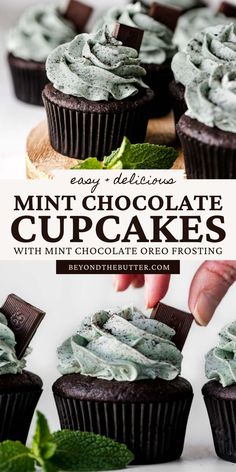 chocolate cupcakes with mint cream frosting on top and the title overlay reads, easy delicious mini chocolate cupcakes with mint chocolate frosting