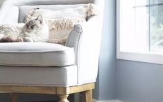 a cat laying on top of a white chair next to a window in a living room