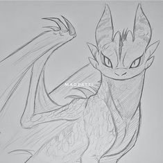 a pencil drawing of a dragon