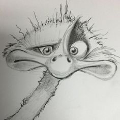 a pencil drawing of an ostrich's head with eyes and beaks