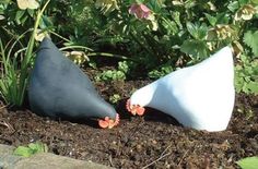 two black and white vases sitting in the dirt next to plants with flowers growing out of them