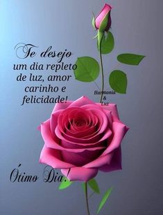 a pink rose with green leaves in front of a blue background that says, te deso um dia repeleto de lua, amo carmo e felicad