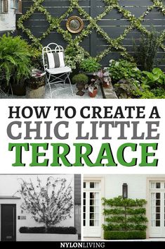 how to create a chic little terrace in your backyard or front yard with plants