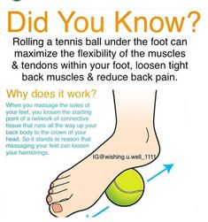 Hamstring Muscles, Tight Hamstrings, Health And Fitness Articles, Mind Tricks, Foot Health, Back Muscles, Tennis Ball, Health Info, Health Facts