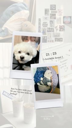 a white dog sitting in a chair next to a stuffed animal and a cup of coffee