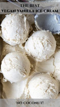 the best vegan vanilla ice cream no coconut