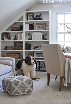 a dog sitting in the middle of a living room next to a chair and bookshelf