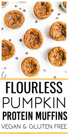 flourless pumpkin protein muffins with chocolate chips on top and text overlay