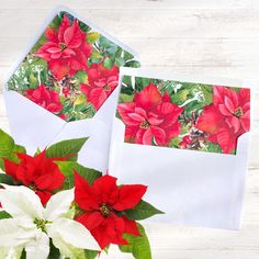 two envelopes decorated with poinsettias and greenery