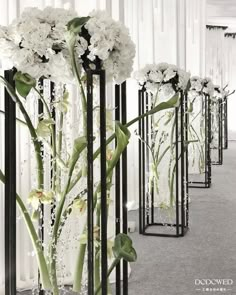 several tall vases with white flowers in them