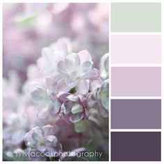 the color scheme is purple and green, with white flowers in it's center