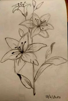 a pencil drawing of some flowers on a piece of paper