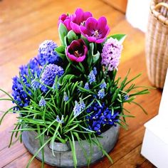 purple and pink flowers are in a pot on the floor