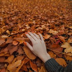 Maintaining Healthy Fall Nails