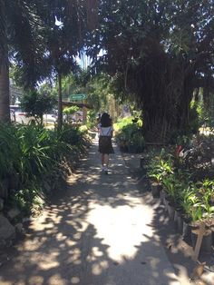 a woman walking down a path between trees