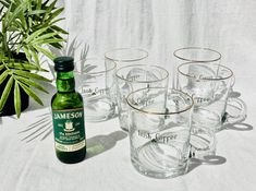 there are many glasses and a bottle next to each other on the table with a potted plant in the background