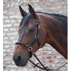 a brown horse wearing a bridle and standing in front of a brick wall