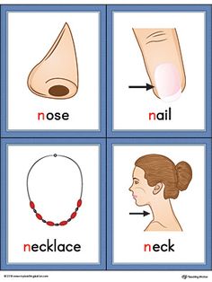 four different types of nose and neck with words in the middle one is labeled as nose,