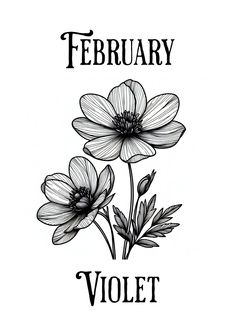 a black and white drawing of flowers with the words'february violet'in it