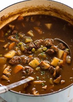 a pot full of stew with meat and vegetables