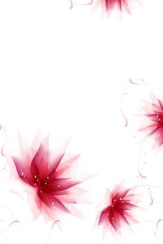 red flowers on white background with space for text