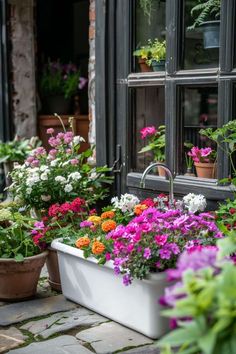 several potted plants and flowers in front of a window sill on a cobblestone walkway