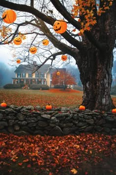 pumpkins are hanging from the branches of a tree in front of a large house