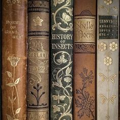 old books are lined up on a shelf