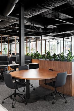 an office with wooden desks and black chairs, plants on the wall behind them