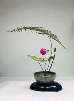 a flower in a bowl with some green leaves on the top and one pink flower