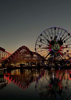 a ferris wheel sitting on top of a lake next to a roller coaster at night