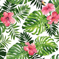 Monstera Floral Leaves Wallpaper Peel and stick Wallpaper EazzyWalls Sample: 6"W x 9"H Smooth Vinyl Pink Hibiscus Wallpaper, Hibiscus Wallpaper, Pink Hibiscus, Leaves Wallpaper, Trellis Plants, Floral Leaves, Solid Hardwood Floors, Leaf Wallpaper, Stick On Tiles