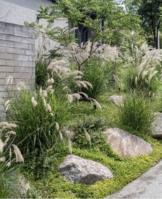 some grass and rocks in front of a building