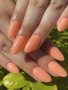 Apricot Color Nails, Light Apricot Nail Color, Nail Inspo Coral, Peach Dip Nails, Summer Peach Nails, Dark Peach Nails, Peach Nude Nails, Peachy Pink Nails, Peach Color Nails