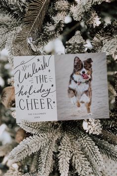 an ornament hanging from the christmas tree with a photo of a dog on it