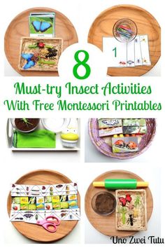 eight insect activities with free montessori printables for kids to play on