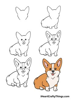 four different types of corgi sitting in the middle of each other's face