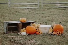 pumpkins and flowers sit in front of a wooden box on the ground near a fence